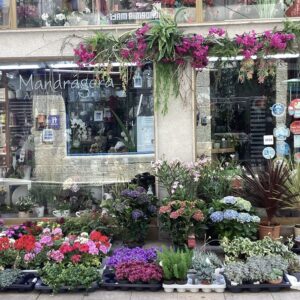 Floristerías